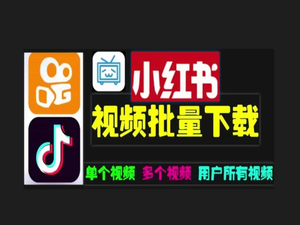 小红书图文、视频一键批量下载软件，抖音快手也可以下载-1024x768