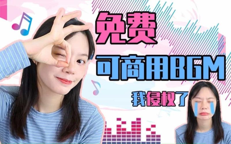 800+首顶级可商用音效BGM素材合集！全中文分类，精选素材-壹器呵成