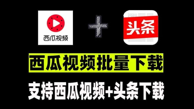 西瓜视频批量下载神器，支持西瓜视频+头条视频的批量下载，免费无广告，无需安装-壹器呵成